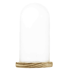 Glass bell jar 20 cm