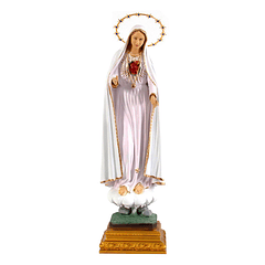 Image Sacred Heart of Mary