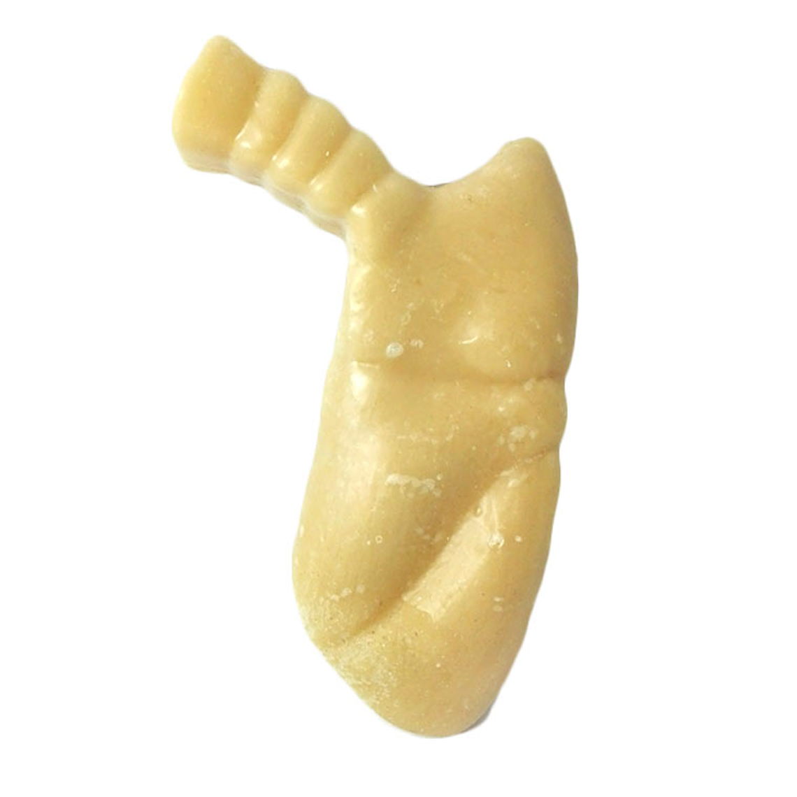 Lung in wax 1