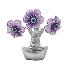 Árvore olho Turco com 3 flores 2