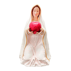 Our Lady Praying Heart