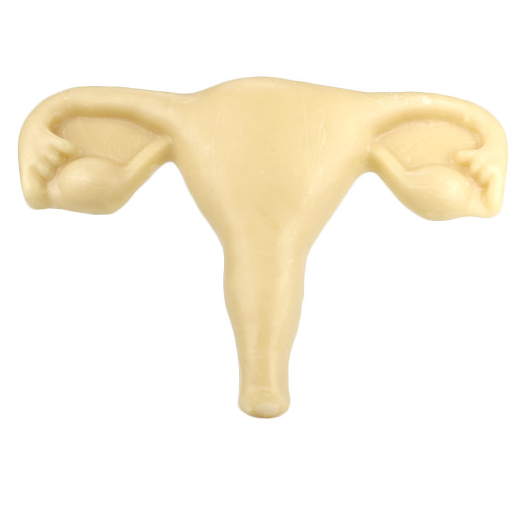 Wax uterus 1