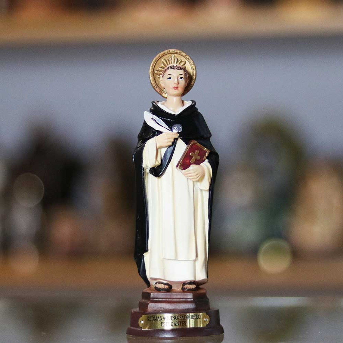 Saint Thomas Aquinas 2