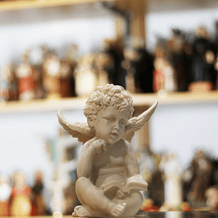 Angel reading outdoors