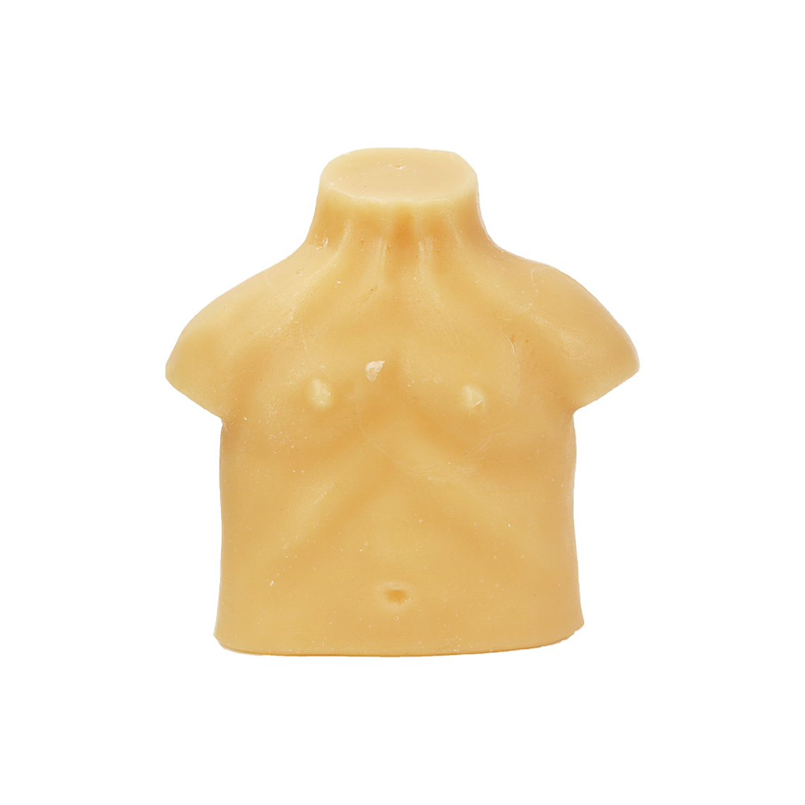Wax torso 1