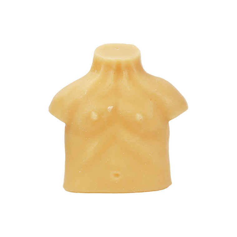 Wax torso 1