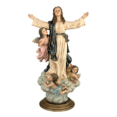 Nuestra Señora de la Asunción 35 a 47 cm.