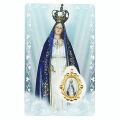 Prayer card of Our Lady of Needs