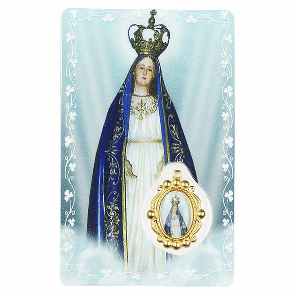 Prayer card of Our Lady of Needs 1