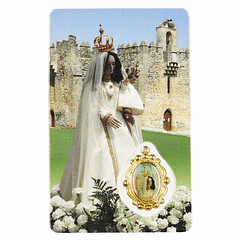 Our Lady of the Good News prayer card