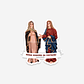 Our Lady of the Visitation Sticker - thumbnail 1