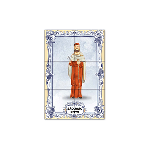 Azulejos de San Juan de Brito 30 cm x 45 cm