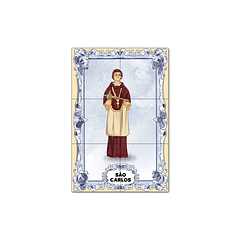 Painel de Azulejos de São Carlos 30 cm x 45 cm
