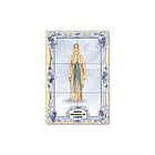 Painel de Azulejos de Nossa Senhora de Lourdes 30 cm x 45 cm 1