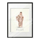 Poster de Nossa Senhora de Medjugorje 1