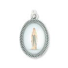 Medalla de Nuestra Señora de Lourdes 1