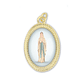 Our Lady of Lourdes Medal - thumbnail 1