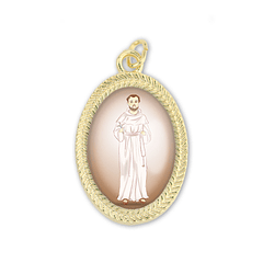 Medaglia di San Bernardo