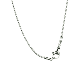 Saint Hubert necklace and medal in stainless steel