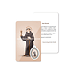 Saint Facundus prayer card - thumbnail 2