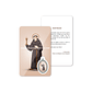 Saint Facundus prayer card - thumbnail 5