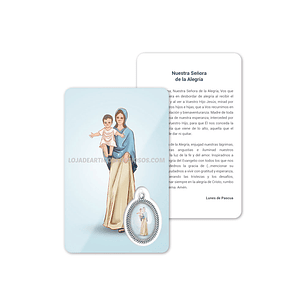 Our Lady of Joy prayer card