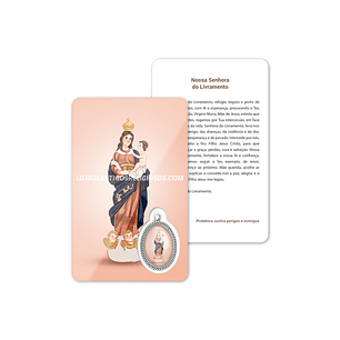 Our Lady of Deliverance prayer card