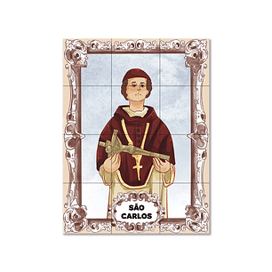 Azulejos de San Carlos 45 cm x 60 cm