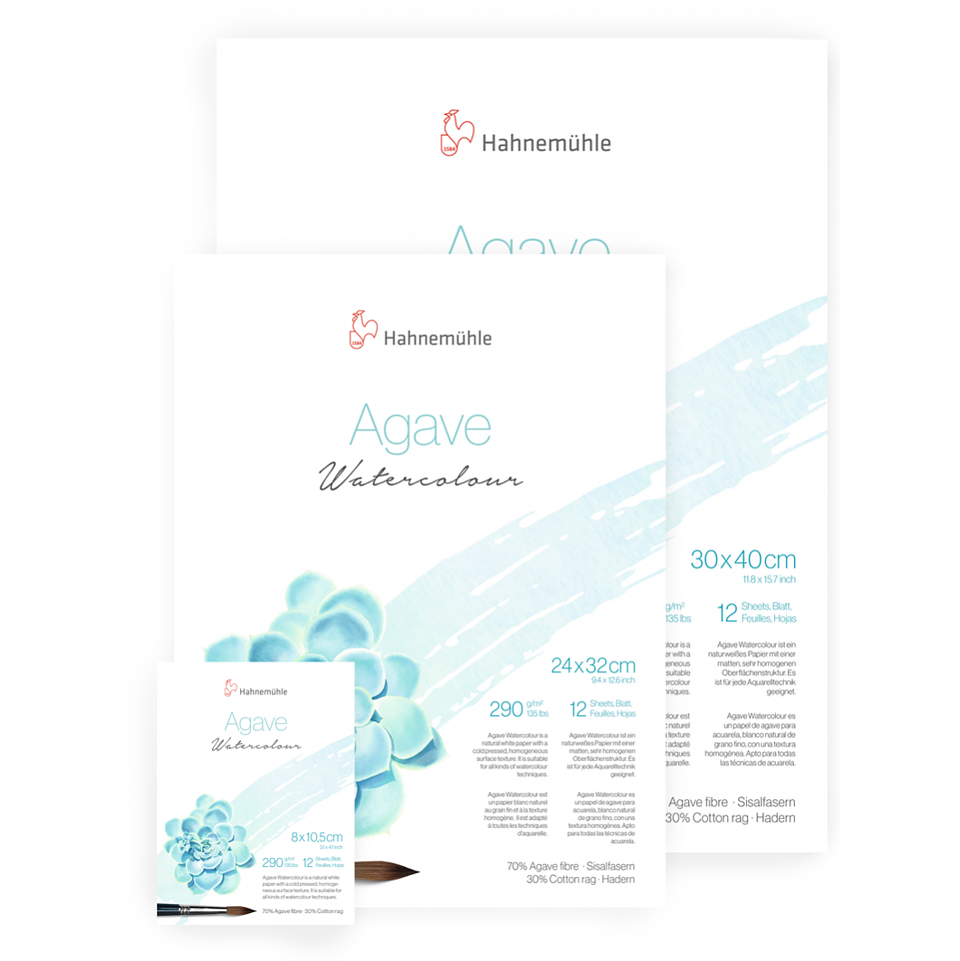 Blocks Acuarela Hahnemuhle Agave 290 gr 12 Hjs 24x32 cm 1