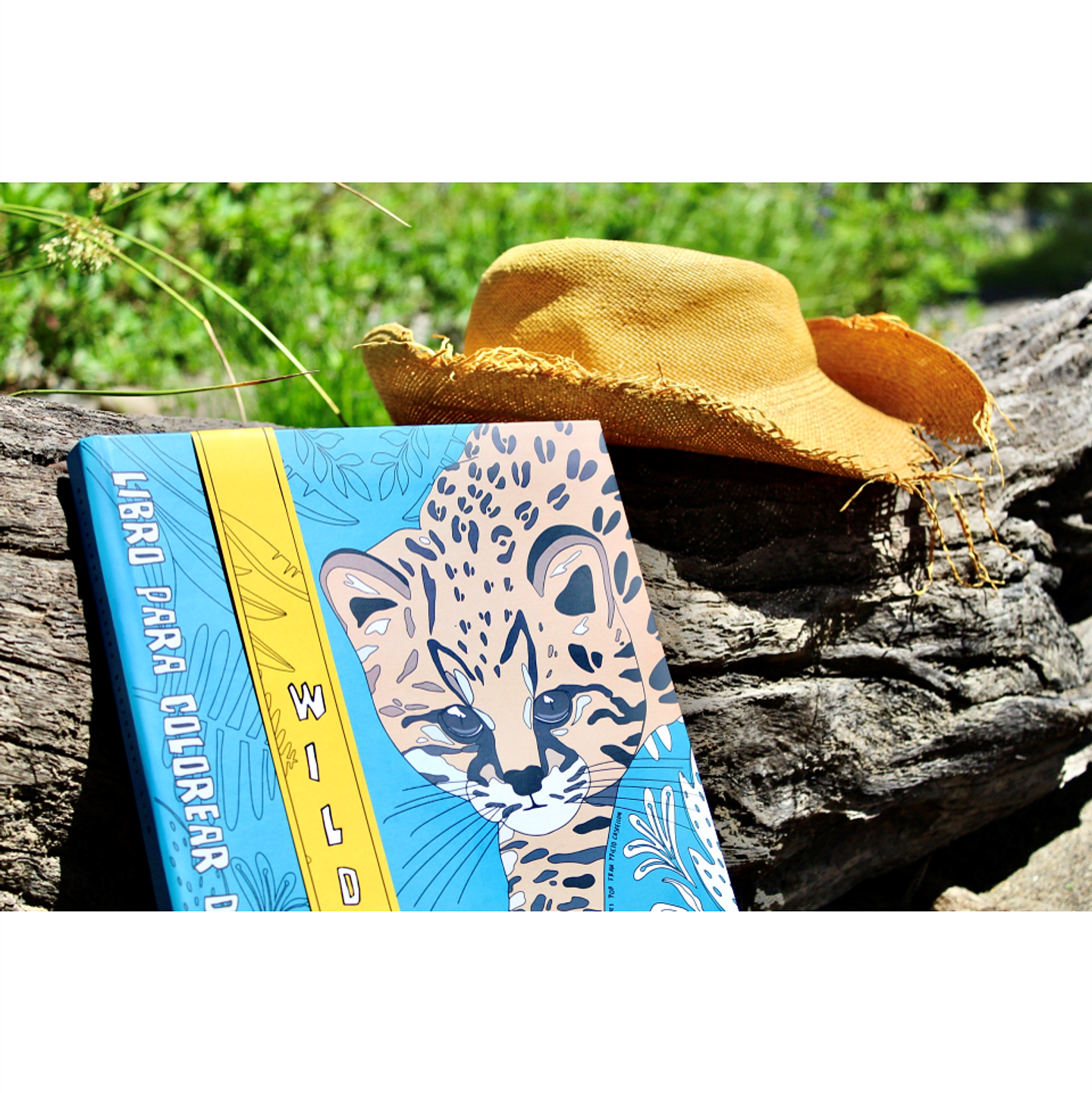 Libro para Colorear WILD de Fran Prieto Castellón 3