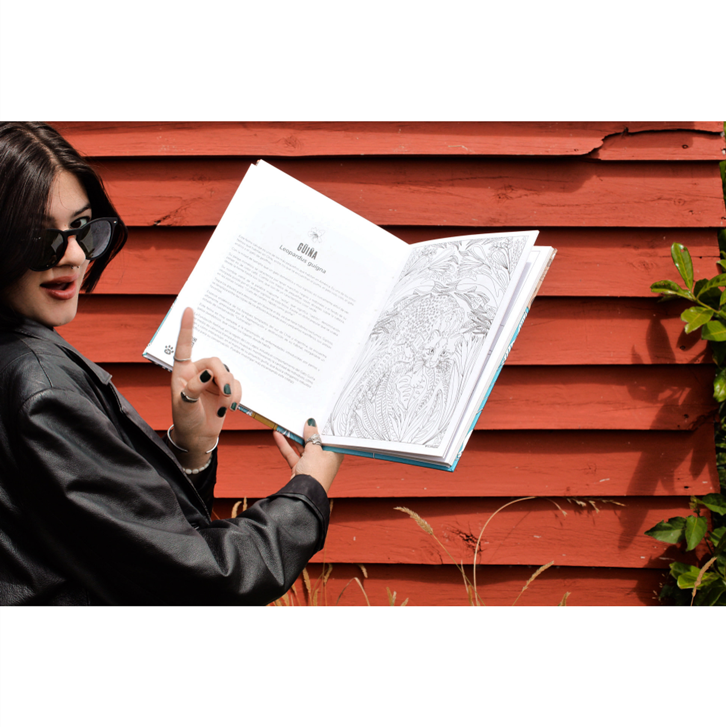 Libro para Colorear WILD de Fran Prieto Castellón 4