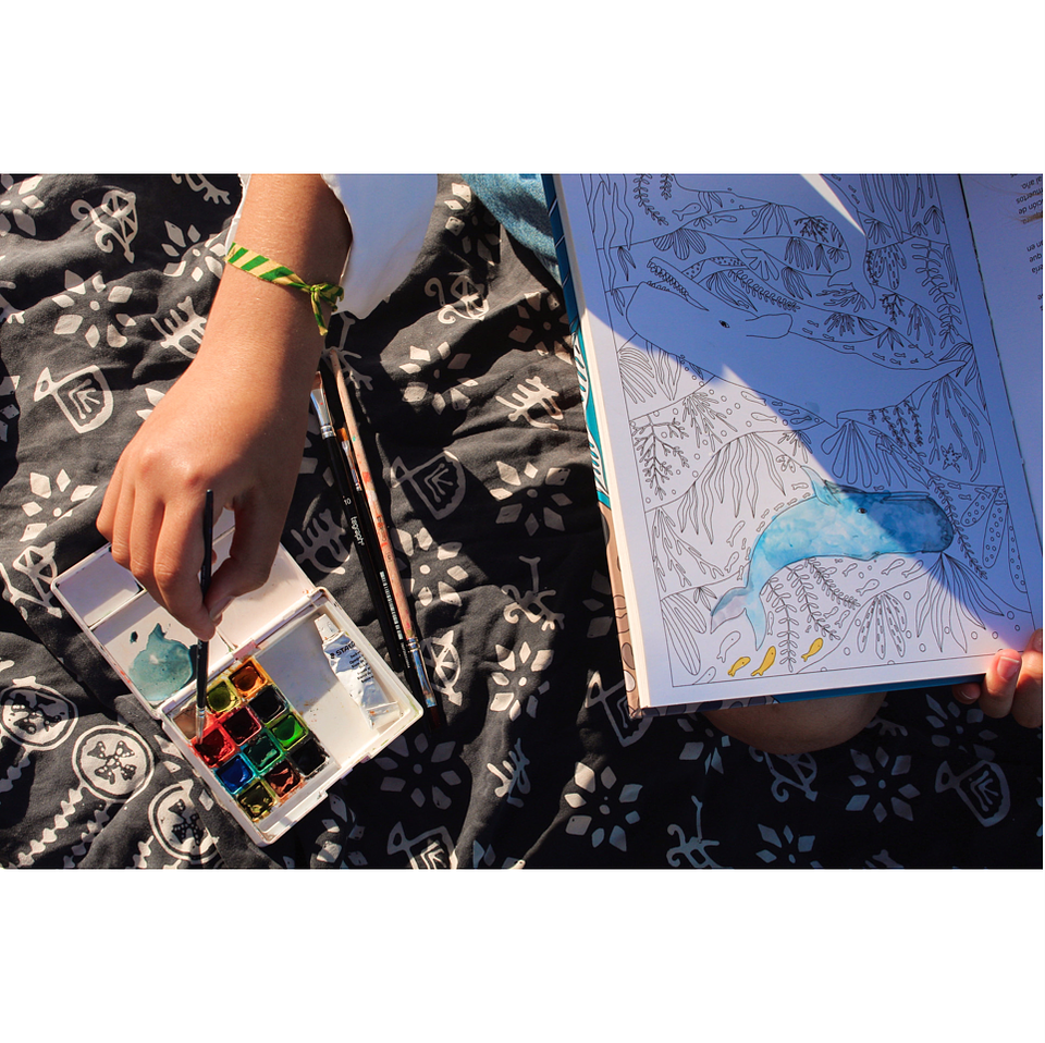 Libro para Colorear WILD de Fran Prieto Castellón 8