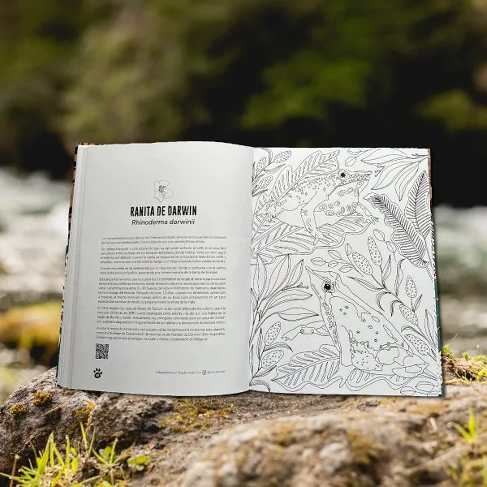 Libro para Colorear WILD de Fran Prieto Castellón 2