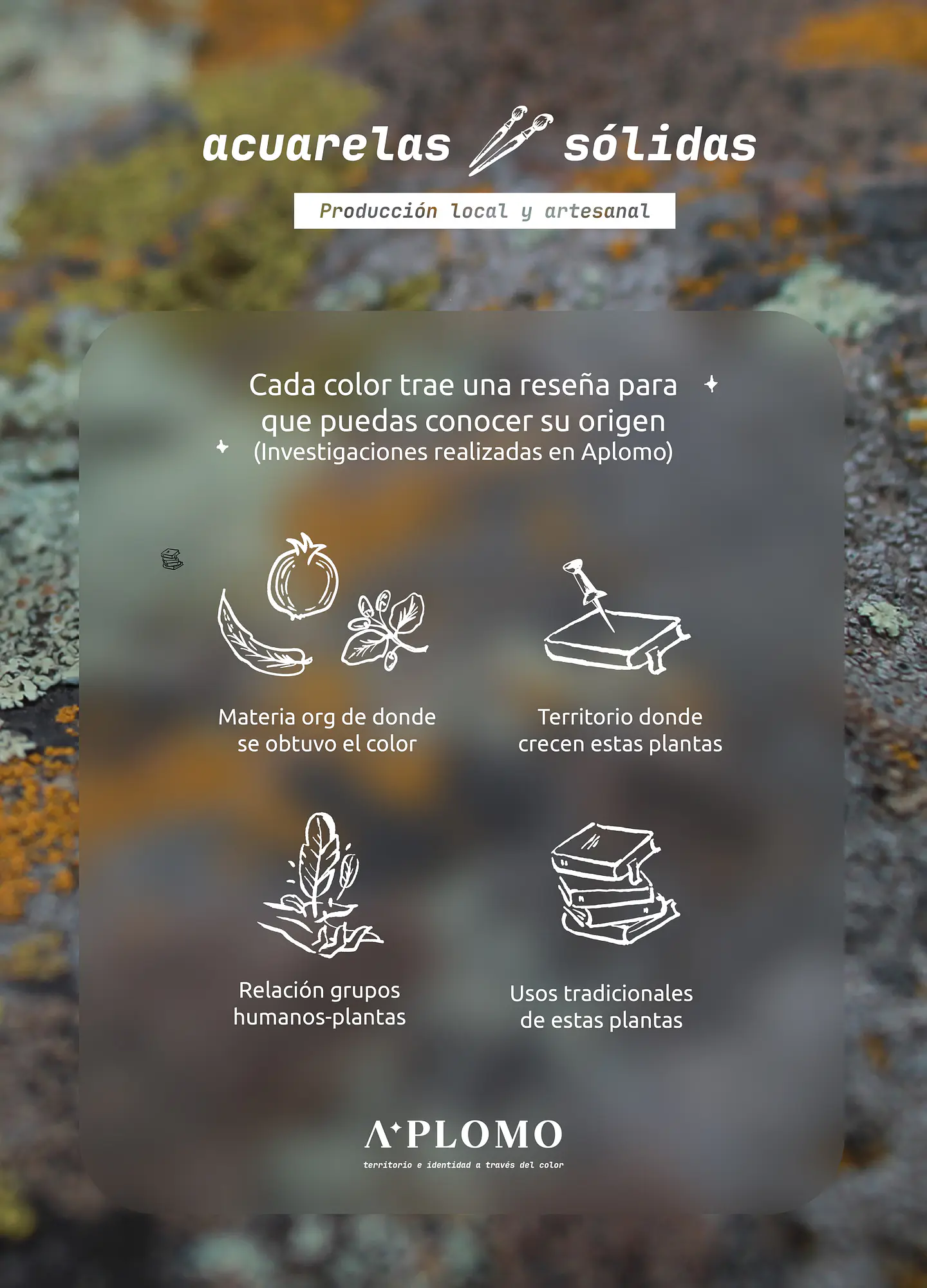 Set Dot Card 6 colores A Plomo 4
