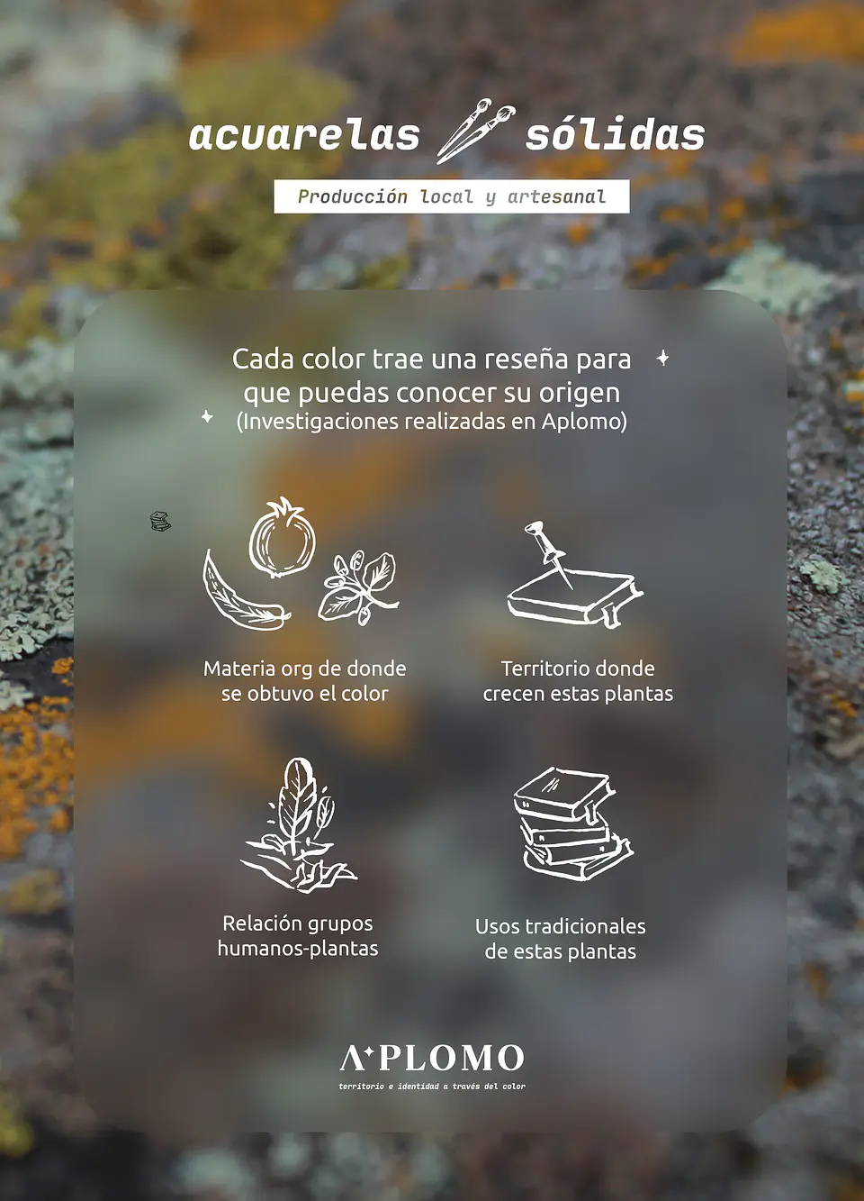 Set Dot Card 6 colores A Plomo 4