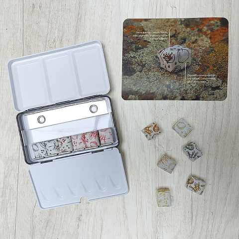 Set Medias Pastillas 12 Colores A Plomo