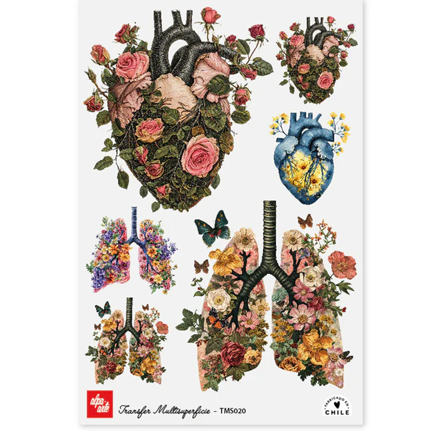 Láminas Transfer Multisuperficies 20x30 cm Alpa Arte 11