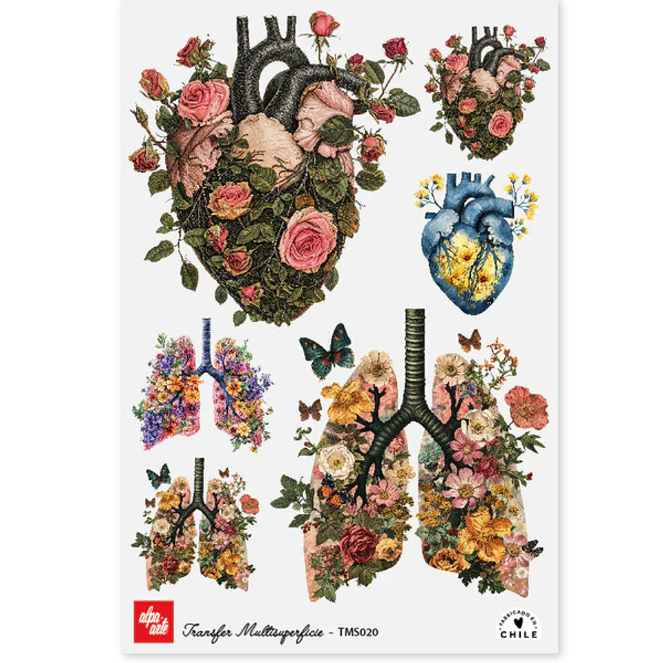 Láminas Transfer Multisuperficies 20x30 cm Alpa Arte 11