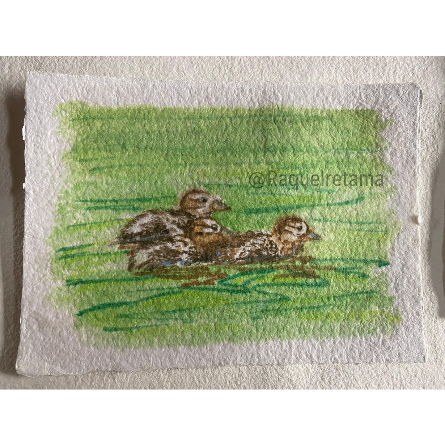 Papel de Acuarela Donoso Papel – 5 Postales 14,5x20 cm, 300 g/m², 100% Algodón 4