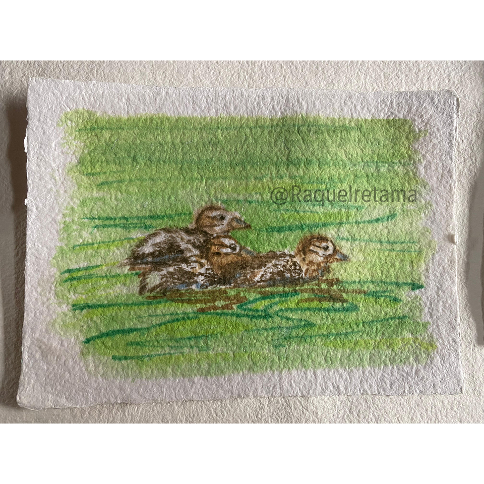 Papel de Acuarela Donoso Papel – 5 Postales 14,5x20 cm, 700 g/m², 100% Algodón 4