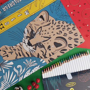 ⭐ Kit Libro WILD + Lápices Super Soft (24 colores)