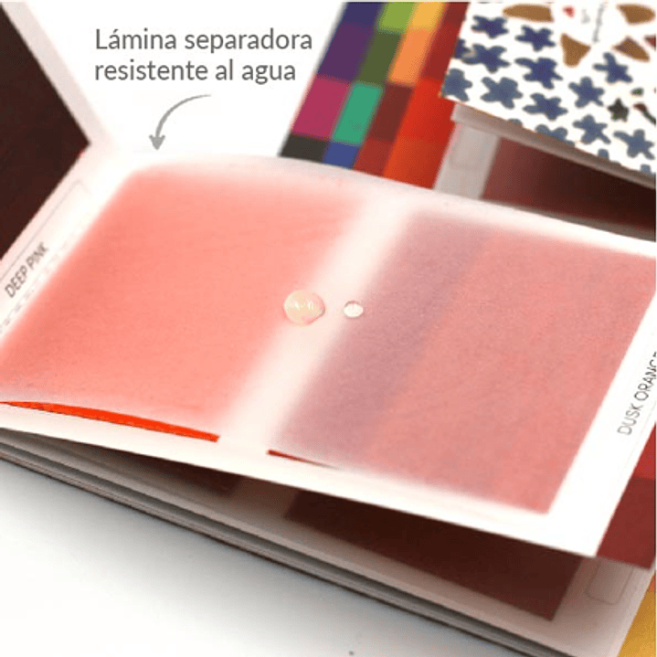 ⭐ Kit 3 Sets Viviva Colorsheets – Original, Primavera y Otoño 4