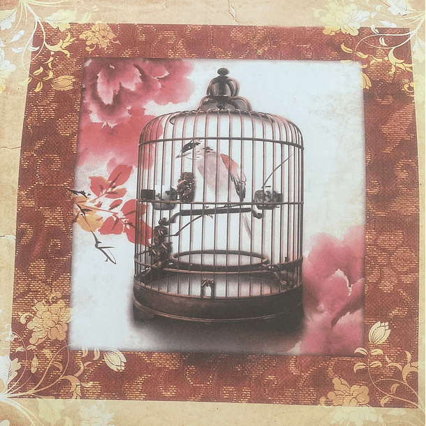 LAMINAS DE SCRAP DECOUPAGE 20x20