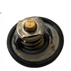 Termostato Ford Fiesta, Ecosport, Focus, 2011 A 2020 Garanti