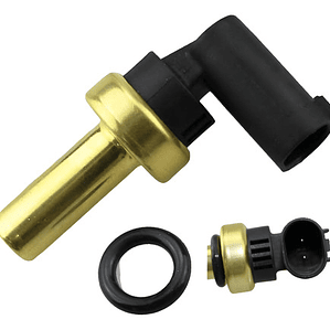 Sensor De Temperatura Mg Zs