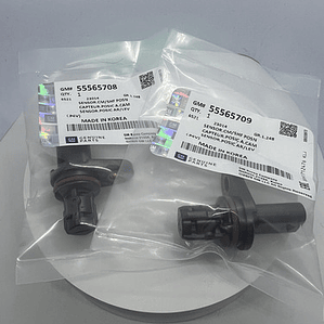 Sensor Eje De Leva Admisión Y Escape Sonic Cruze Traker Gm