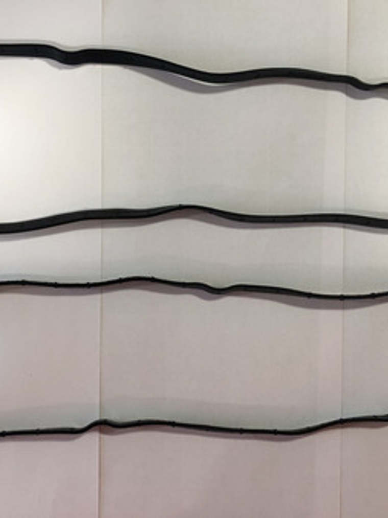 Empaquetadura Tapa Válvulas Ford Ecosport 1.6 2013-2021 Gara 2