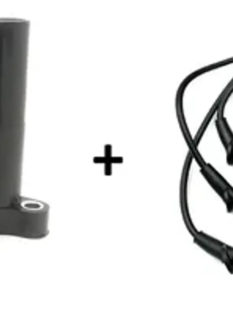 Bobina Encendido Ford Fiesta Y Cables Ford Ecosport 1.6 1