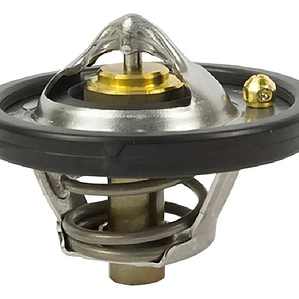 Termostato Ford Fiesta, Ecosport, Focus, 2011 A 2020