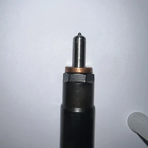 Inyector Original Delphi  Jac X200 & T60 / 28386106 1042200f